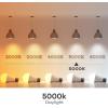 imageLinkind A19 LED Light Bulb 60W Equivalent 2700K Soft White Light Bulbs 800 Lumens 85W NonDimmable LED Bulbs E26 Standard Base Energy Efficient for Bedroom Home Office 6 PacksDaylight100 Watt 12 Pack
