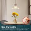 imageLinkind A19 LED Light Bulb 60W Equivalent 2700K Soft White Light Bulbs 800 Lumens 85W NonDimmable LED Bulbs E26 Standard Base Energy Efficient for Bedroom Home Office 6 PacksCool White60 Watt