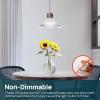 imageLinkind A19 LED Light Bulb 60W Equivalent 2700K Soft White Light Bulbs 800 Lumens 85W NonDimmable LED Bulbs E26 Standard Base Energy Efficient for Bedroom Home Office 6 PacksDaylight60 Watt