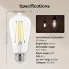 imageLinkind Edison Light Bulbs 60W Equivalent E26 Dimmable Vintage Edison LED Light Bulbs ST58 Antique Decorative Filament LED Bulb 6W 700LM 2700K Soft White CRI80 Clear Glass Light Bulbs 12 PacksCool White
