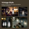 imageLinkind Edison Light Bulbs 60W Equivalent E26 Dimmable Vintage Edison LED Light Bulbs ST58 Antique Decorative Filament LED Bulb 6W 700LM 2700K Soft White CRI80 Clear Glass Light Bulbs 12 PacksCool White