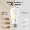 imageLinkind Edison Light Bulbs 60W Equivalent E26 Dimmable Vintage Edison LED Light Bulbs ST58 Antique Decorative Filament LED Bulb 6W 700LM 2700K Soft White CRI80 Clear Glass Light Bulbs 12 PacksCool White