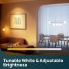 imageLinkind Matter Smart Bulbs E12 Led Bulb Works with AlexaApple HomeGoogle Home Smart Light Bulbs WiFi Candelabra B11 Bulbs RGBTW Color Changing Light Bulb 24Ghz WiFi Bulb 470 LM 4 Pack2 PACK