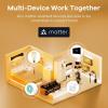 imageLinkind Matter Smart Light Bulb ST19 ST58 Smart Edison Bulbs 2700K6500K E26 LED Bulb 8W 60W 800LM Edison Light Bulb Work with Alexa Google Home Apple Home SmartThings 24GHz WiFi 4Pack4 Pack ST19 Matter