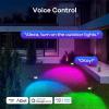 imageLinkind Outdoor Lights Smart Hub Bluetooth Mesh Networks Group Control 32 Devices 43 Dynamic Preset Scenes and Multiple Music via Remote Control USB Charged Work with Alexa and Google Assistant