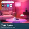 imageLinkind Smart Light Bulbs 1600LM 100W Equivalent Smart Bulb Work with Alexa ampamp Google Home RGBTW Color Changing Bulb Music Sync 24GHz WiFi ampamp Bluetooth LED Alexa Light Bulbs 14W A21 E26 2Pack2 Pack 75W