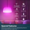 imageLinkind Smart Light Bulbs 1600LM 100W Equivalent Smart Bulb Work with Alexa ampamp Google Home RGBTW Color Changing Bulb Music Sync 24GHz WiFi ampamp Bluetooth LED Alexa Light Bulbs 14W A21 E26 2Pack4 Pack 75W