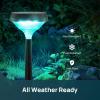 imageLinkind Solar Lights Outdoor 8 Pack Solar Pathway Lights Warm White Landscape Path Lights Waterproof for Walkway Yard Garden DrivewaySP3Multicolor