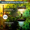imageLinkind Solar Lights Outdoor 8 Pack Solar Pathway Lights Warm White Landscape Path Lights Waterproof for Walkway Yard Garden DrivewaySP3Warm White