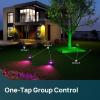 imageLinkind Smart Solar Spot Lights Outdoor SL5C Solar Lights Outdoor Spotlight CoolWarm WhiteColor Changing APPVoice Control IP67 Landscape Lighting for Yard Garden Pathway4 PackMulticolor