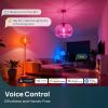 imageLinkind Matter ST19ST58 Smart Bulbs 1Pack amp A19 Smart Edison Bulb 1Pack