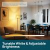 imageLinkind Matter Smart Bulbs ST19ST58 E26 Led Bulb Works with Alexa Smart Light Bulbs WiFi Bulbs RGBTW Color Changing Light Bulb 24Ghz WiFi Bulb 850 LM 1 Pack1 Pack ColorWhite